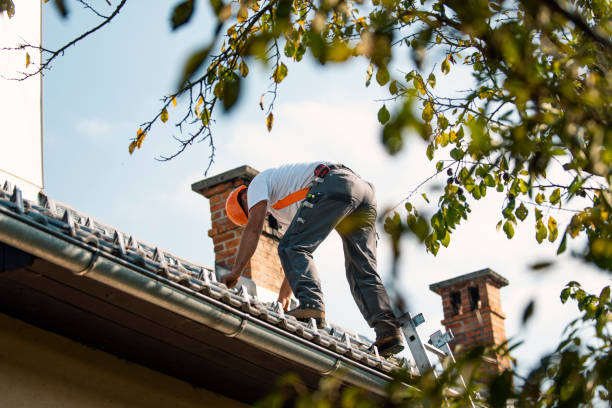 Gutter Installation and Roofing in David City, NE
