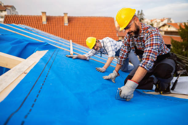 Best Emergency Roof Repair  in David City, NE