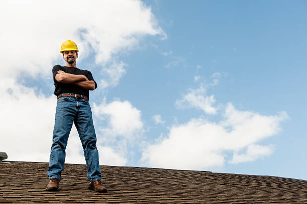 Best Roof Gutter Cleaning  in David City, NE