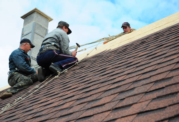 Best Residential Roofing Contractor  in David City, NE